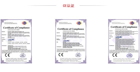 電動(dòng)翻轉(zhuǎn)嵌入式LED會(huì)議燈力銘光電CE認(rèn)證